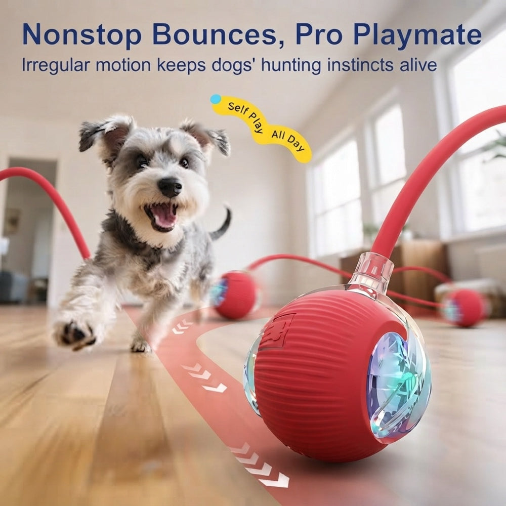 Smart Automatic Pet Teasing Ball Interactive Moving Toy for Fun, Active Play & Anxiety Relief for Cats & Dogs