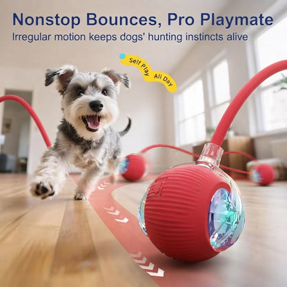 Smart Automatic Pet Teasing Ball Interactive Moving Toy for Fun, Active Play & Anxiety Relief for Cats & Dogs