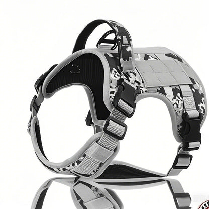 21de8ac6200354d85bdb0cb275dc7acd