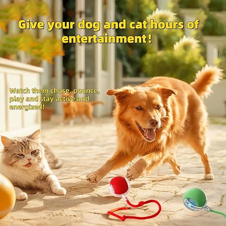 Smart Automatic Pet Teasing Ball Interactive Moving Toy for Fun, Active Play & Anxiety Relief for Cats & Dogs