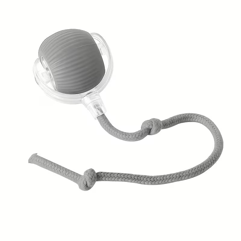 Smart Interactive Rolling Pet Toy