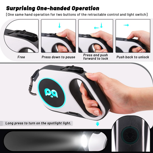 Smart LED Dog Leash