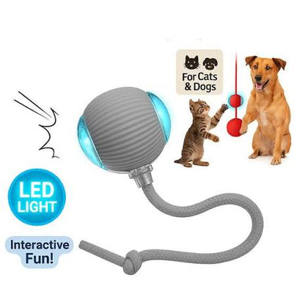 Smart Automatic Pet Teasing Ball Interactive Moving Toy for Fun, Active Play & Anxiety Relief for Cats & Dogs